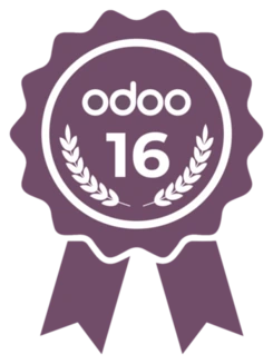 Odoo 16 Certified